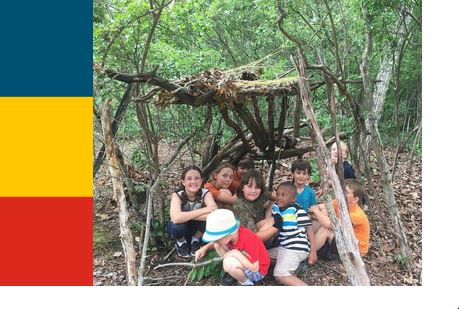 tree-fort